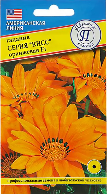 Гацания кисс желтое пламя садовита