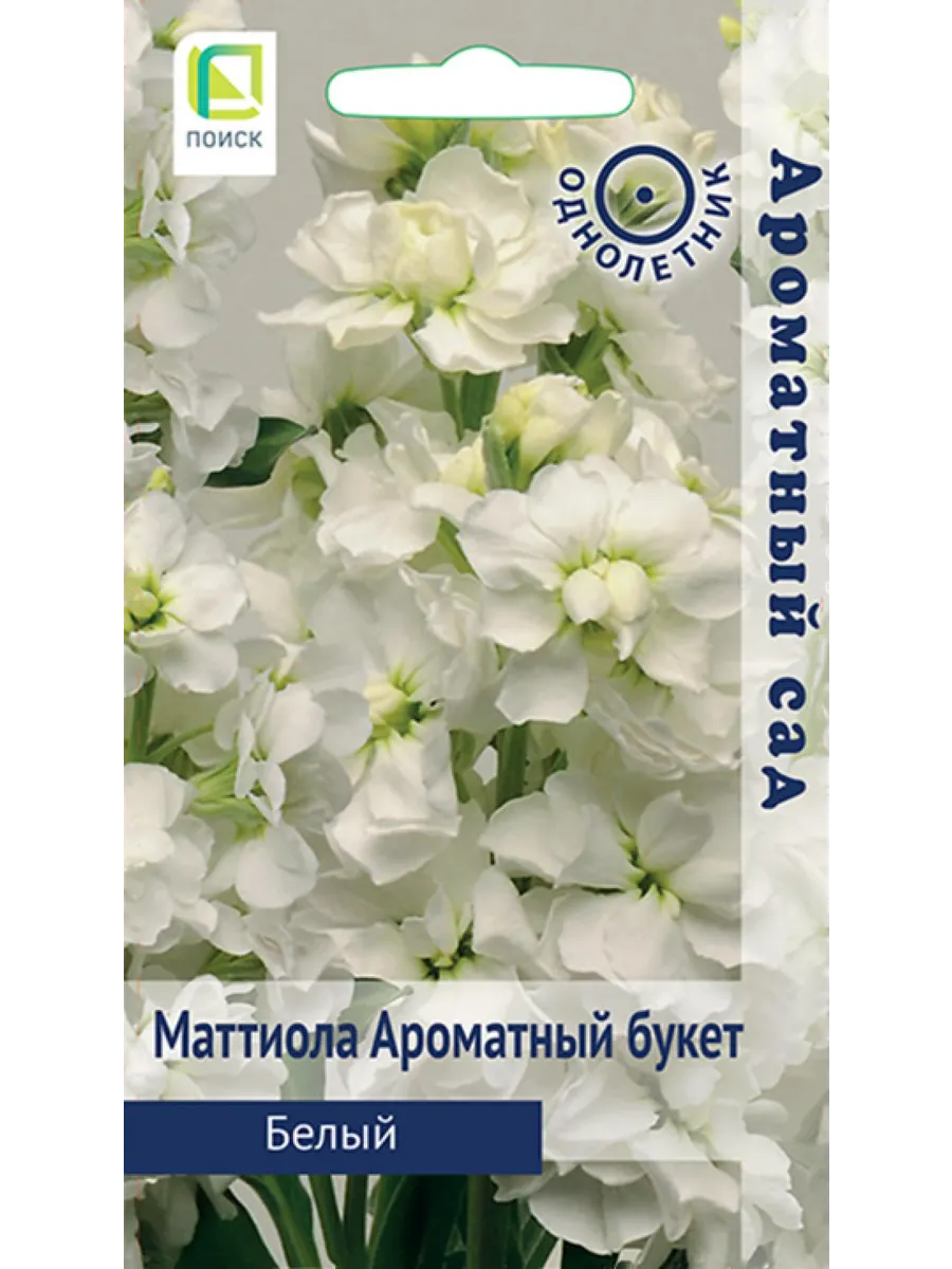 Маттиола ароматный букет белый поиск