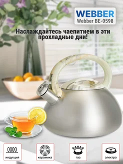 Чайник нерж 2,5 л 0598