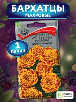 Бархатцы двухцветный гигант махр поиск