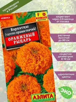 Бархатцы ор рыцарь аэлита