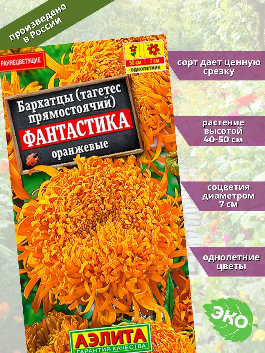 Бархатцы фантастика оранж аэлита