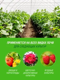 Удобрение 0,6 л бочка кур помет
