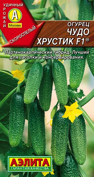 Огурец чудо хрустик аэлита