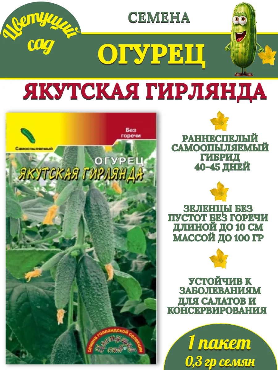 Огурец якутская гирлянда