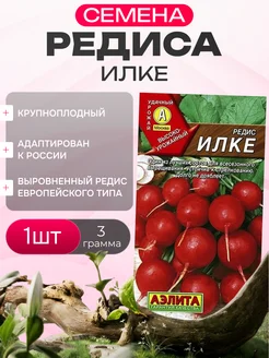 Редис илке аэлита