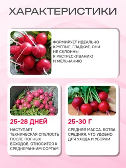 Редис илке аэлита