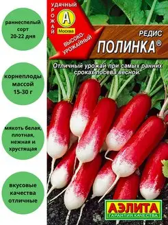 Редис полинка аэлита