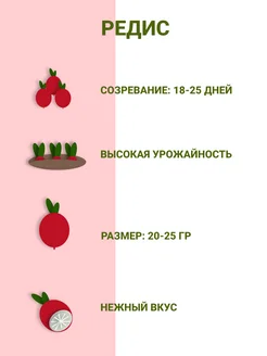 Редис рубин аэлита