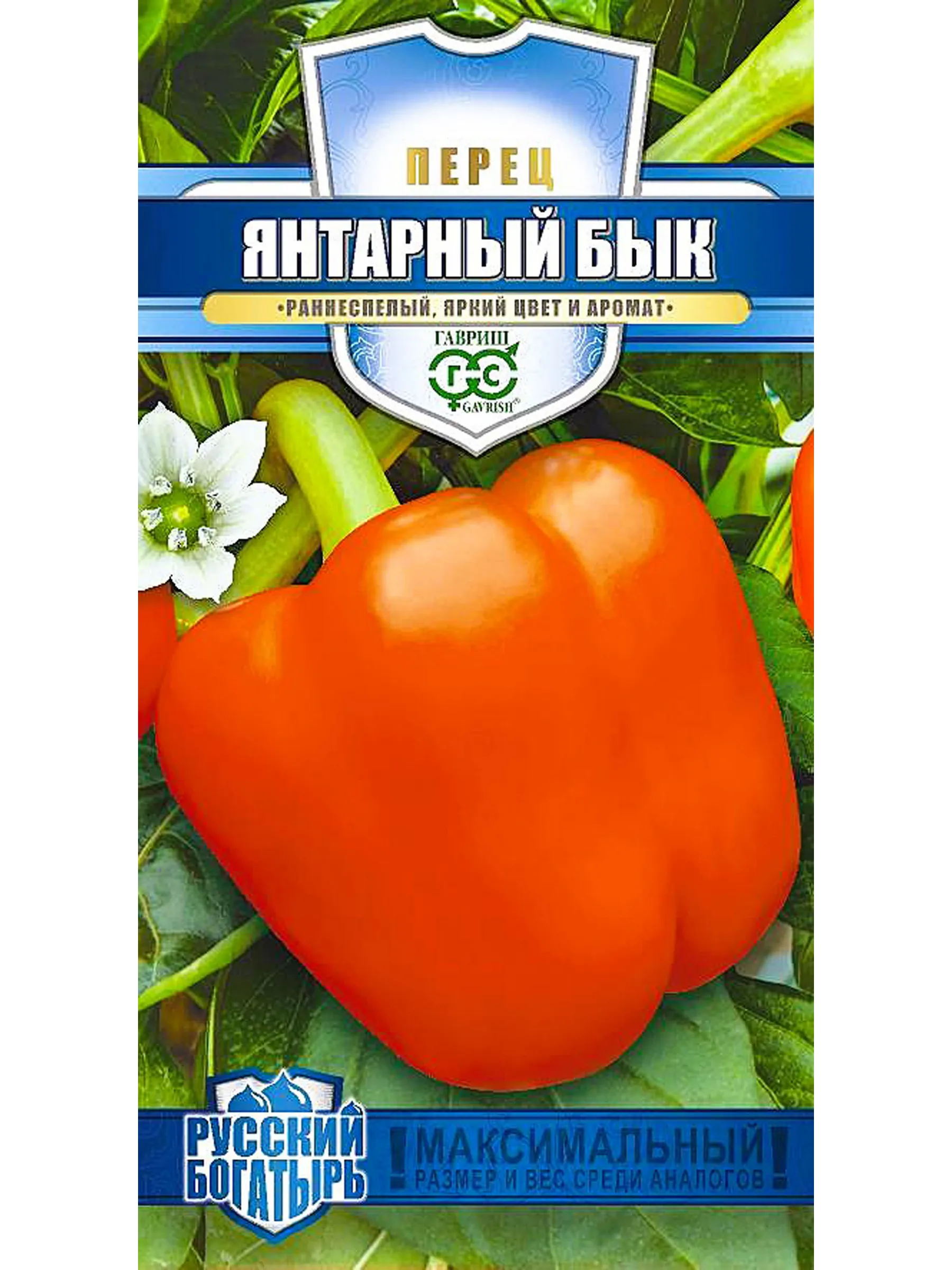 Перец янтарный бык
