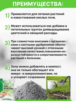 Зола древесная 1 кг