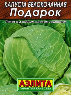 Капуста подарок