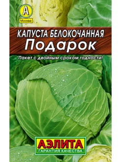 Капуста подарок