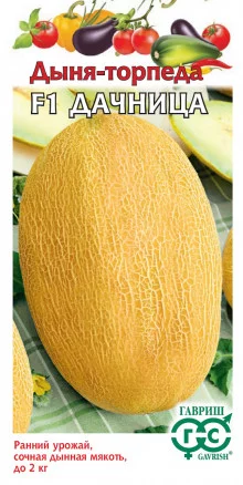 Дыня дачница гавриш