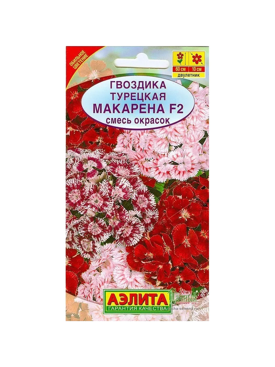 Гвоздика турецкая макарена смесь