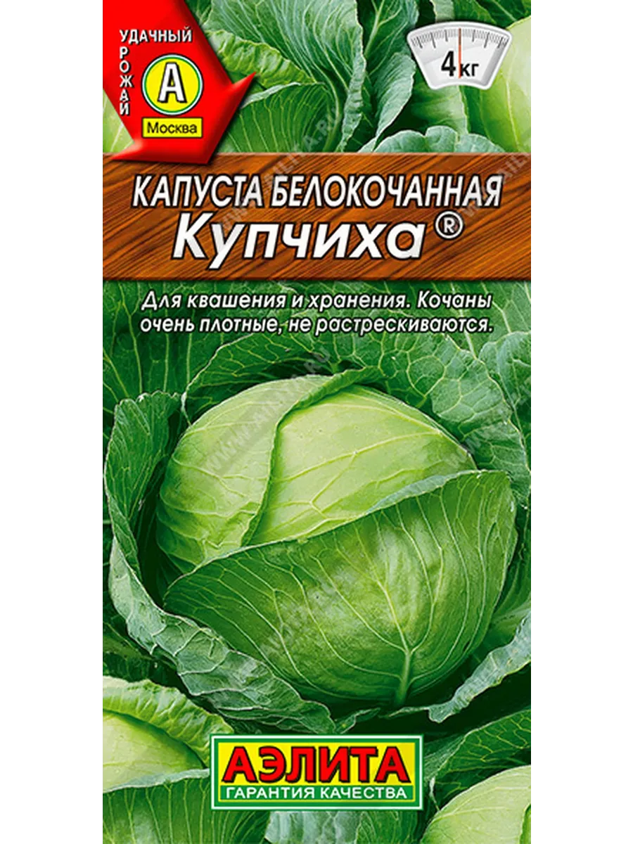 Капуста купчиха
