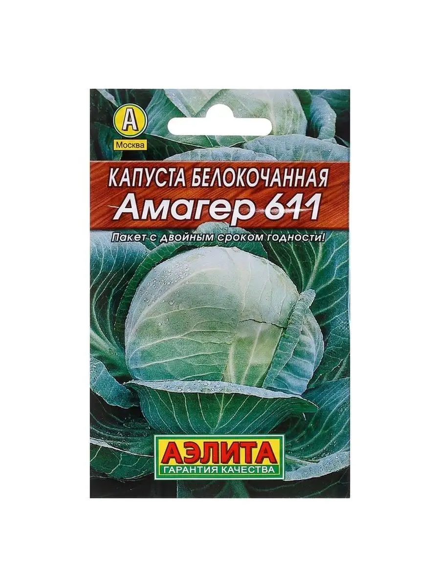 Капуста амагер