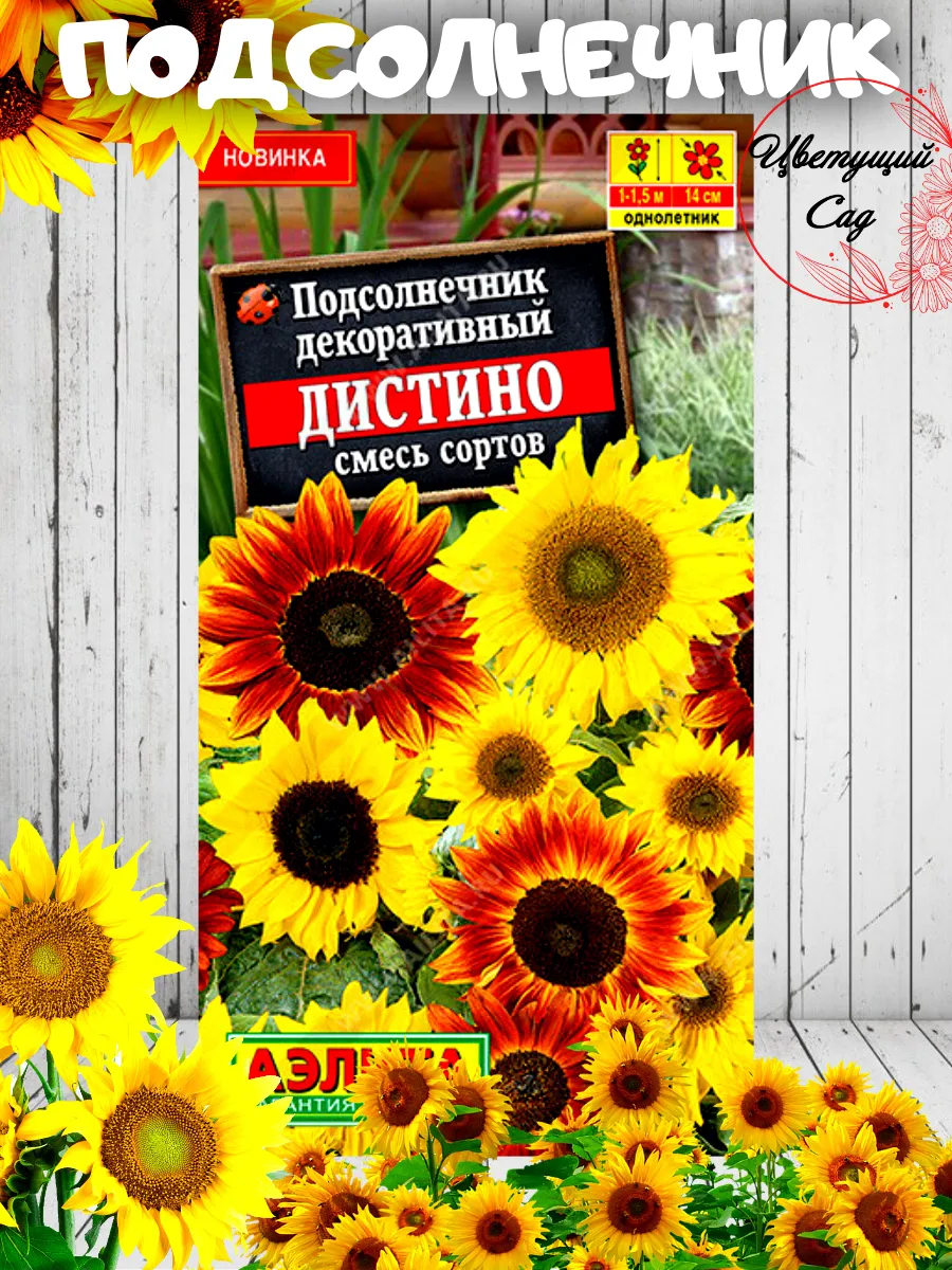 Подсолнечник дистино