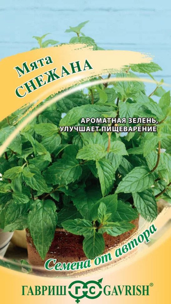 Мята снежана