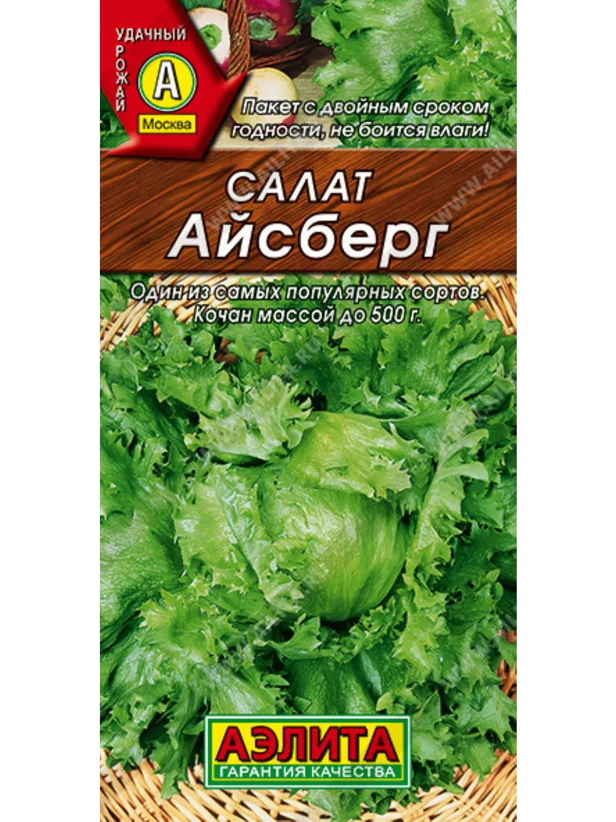 Салат айсберг