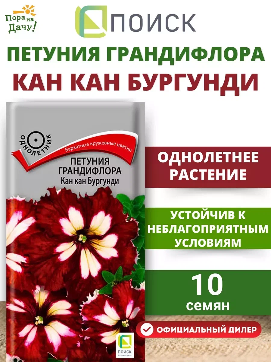 Петуния как кан бургундия