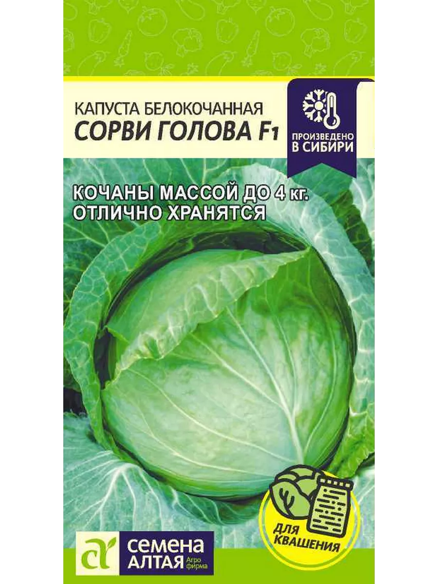 Капуста сорви голова