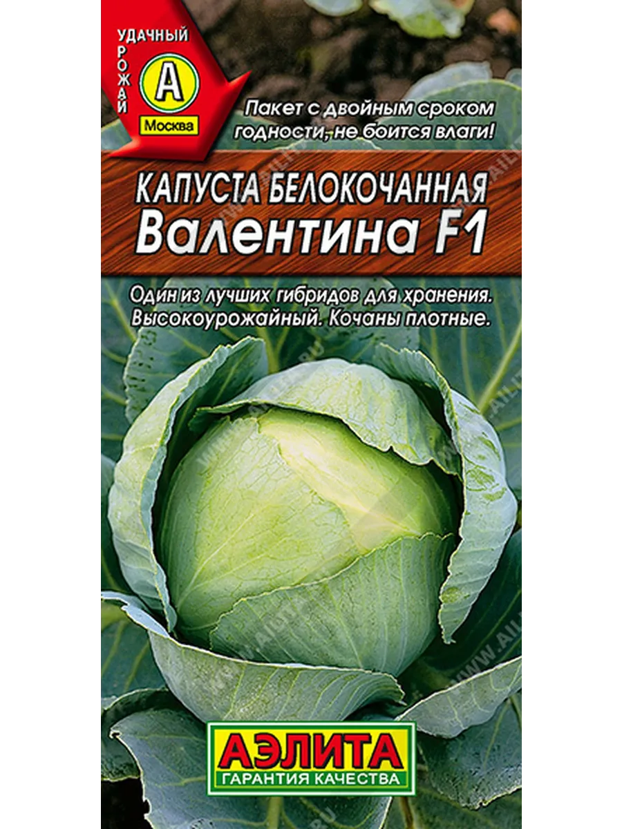 Капуста валентина