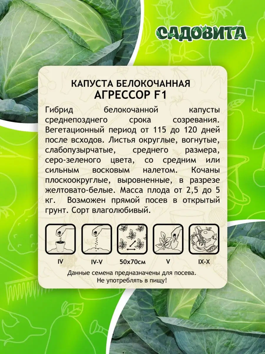 Капуста агрессор