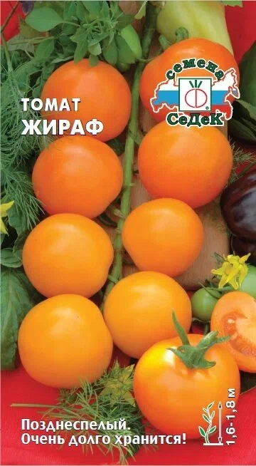 Томат жираф