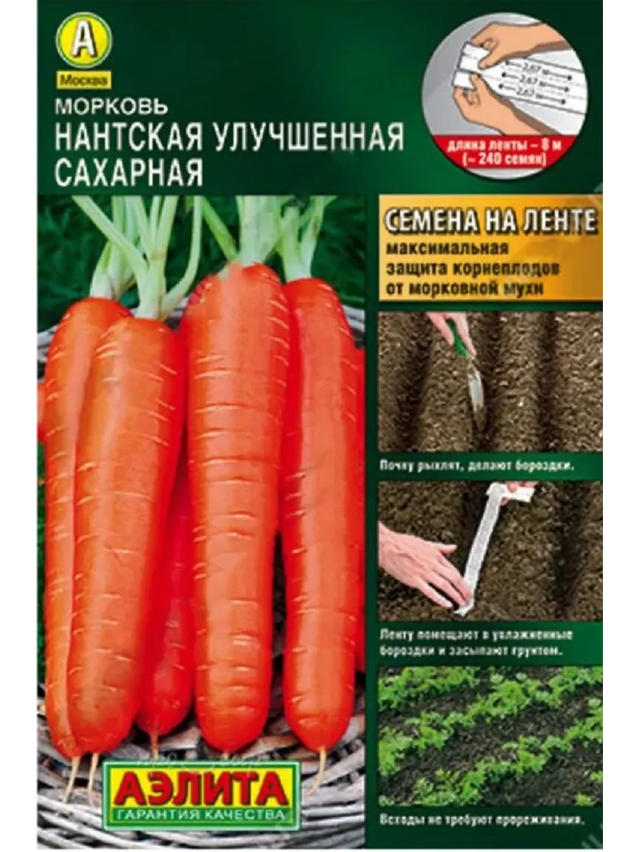 Морковь нантская лента