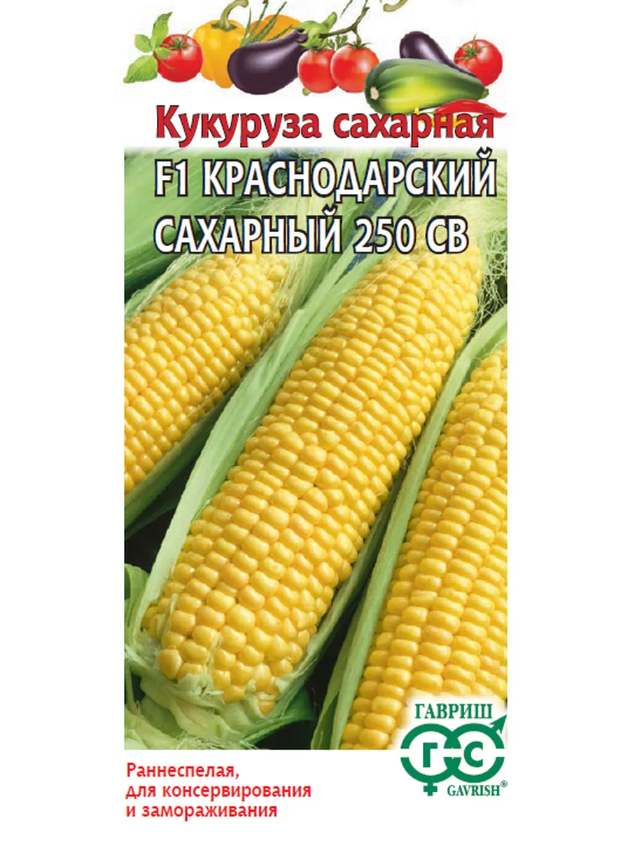 Кукуруза краснодарский сахарный