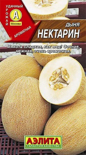 Дыня нектарин