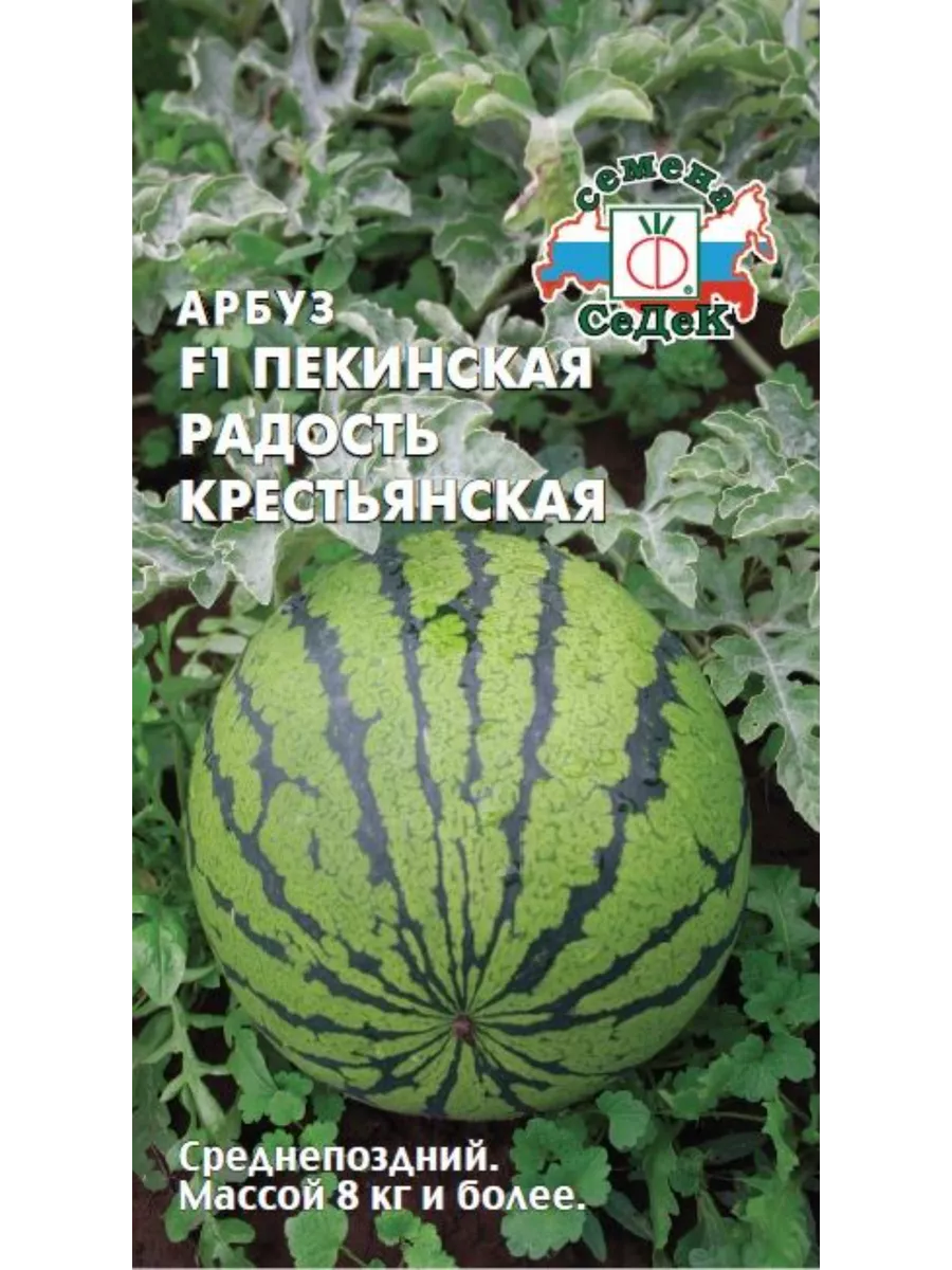 Арбуз пекинская радость
