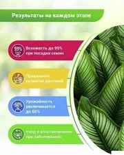 Суспензия Хлореллы 0,3л. БС х20