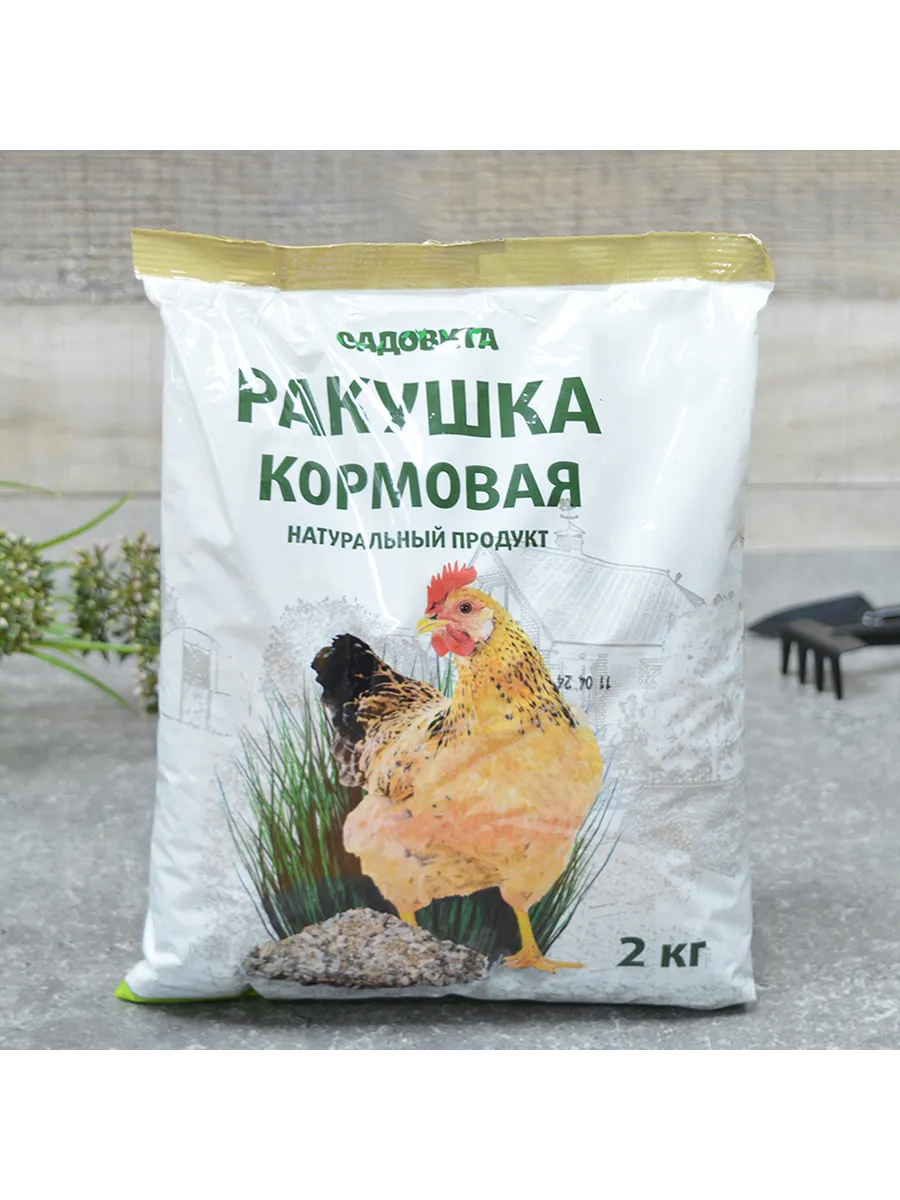 Ракушка 2 кг