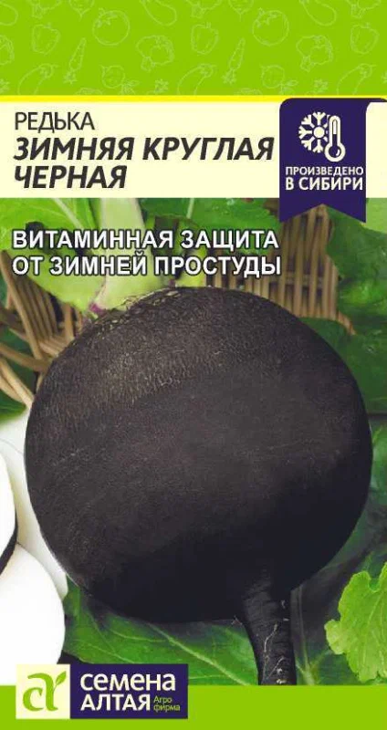Редька   ЗИМНЯЯ КРУГЛАЯ